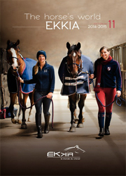 Katalog Ekkia 2014